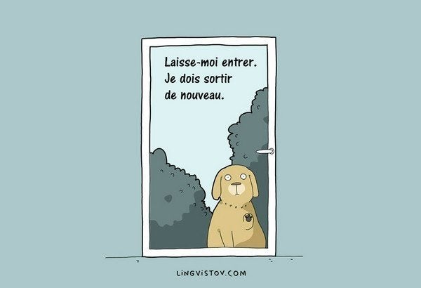 Ces Dessins Racontent Le Vrai Quotidien Des Chiens Et De Leurs Maitres Le Huffington Post Life