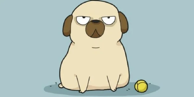 Ces Dessins Racontent Le Vrai Quotidien Des Chiens Et De Leurs Maitres Le Huffington Post Life Ces Dessins Racontent Le Vrai Quotidien Des Chiens Et De Leurs Maitres Le Huffington Post Life