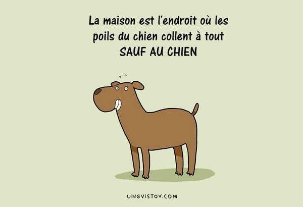 Ces Dessins Racontent Le Vrai Quotidien Des Chiens Et De Leurs Maitres Le Huffington Post Life