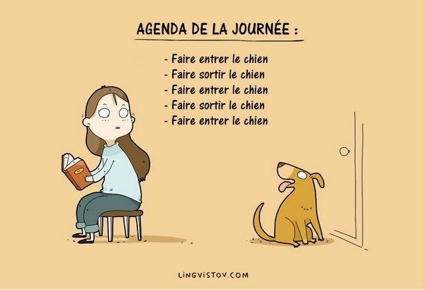 Ces Dessins Racontent Le Vrai Quotidien Des Chiens Et De Leurs Maitres Le Huffington Post Life