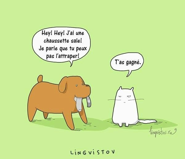 Ces Dessins Racontent Le Vrai Quotidien Des Chiens Et De Leurs Maitres Le Huffington Post Life Ces Dessins Racontent Le Vrai Quotidien Des Chiens Et De Leurs Maitres Le Huffington Post Life