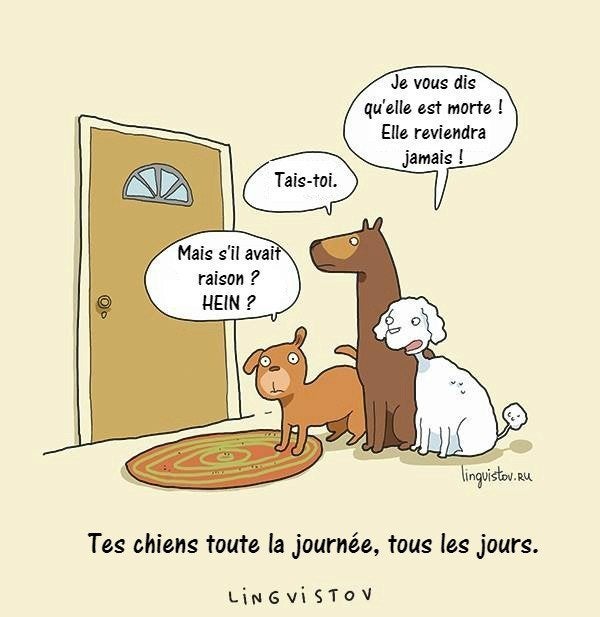 Ces Dessins Racontent Le Vrai Quotidien Des Chiens Et De Leurs Maitres Le Huffington Post Life