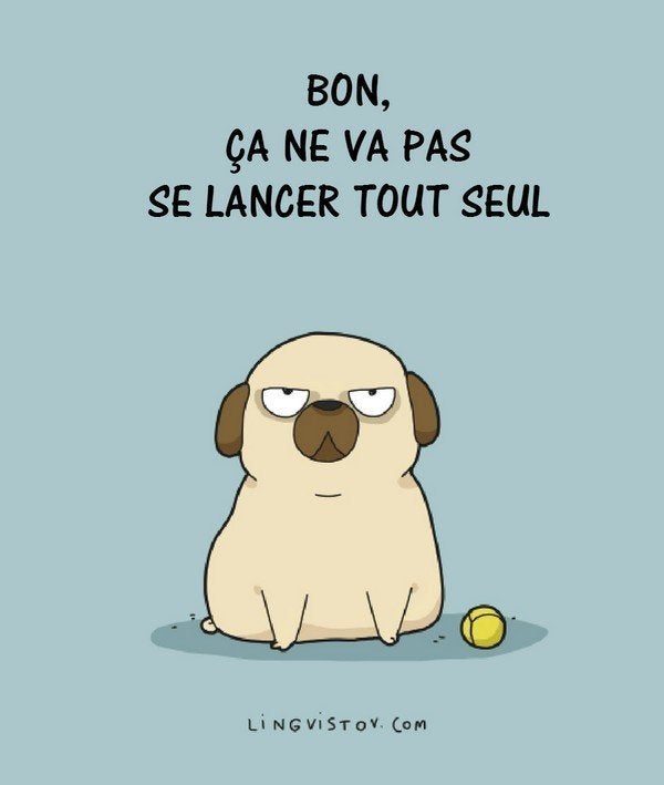 Ces Dessins Racontent Le Vrai Quotidien Des Chiens Et De Leurs Maitres Le Huffington Post Life