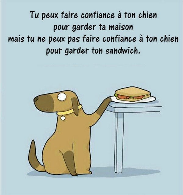 Ces Dessins Racontent Le Vrai Quotidien Des Chiens Et De Leurs Maitres Le Huffington Post Life Ces Dessins Racontent Le Vrai Quotidien Des Chiens Et De Leurs Maitres Le Huffington Post Life