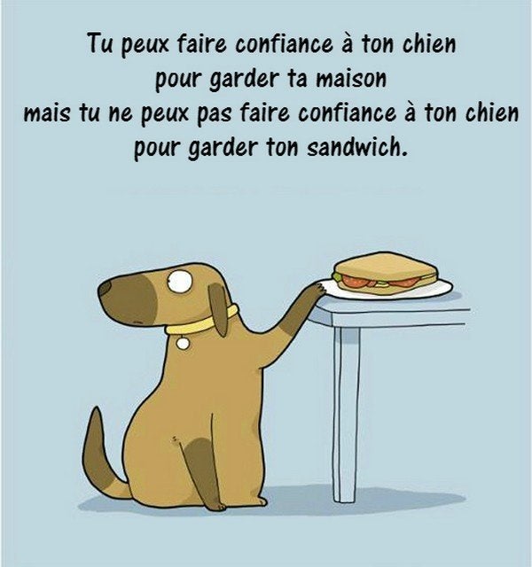 Ces Dessins Racontent Le Vrai Quotidien Des Chiens Et De Leurs Maitres Le Huffington Post Life