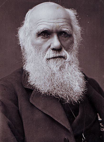 darwin