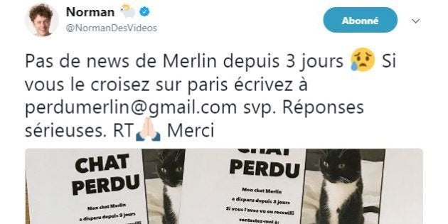 Norman Lance Un Appel A L Aide Pour Retrouver Son Chat Merlin Le Huffpost Norman Lance Un Appel A L Aide Pour Retrouver Son Chat Merlin Le Huffpost