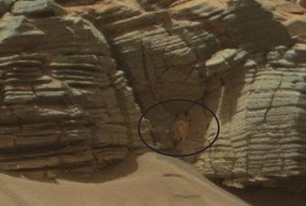 Photo Sur La Surface De Mars Une Etrange Chose Qui Ressemble A Un Crabe Le Huffpost Photo Sur La Surface De Mars Une Etrange Chose Qui Ressemble A Un Crabe Le Huffpost