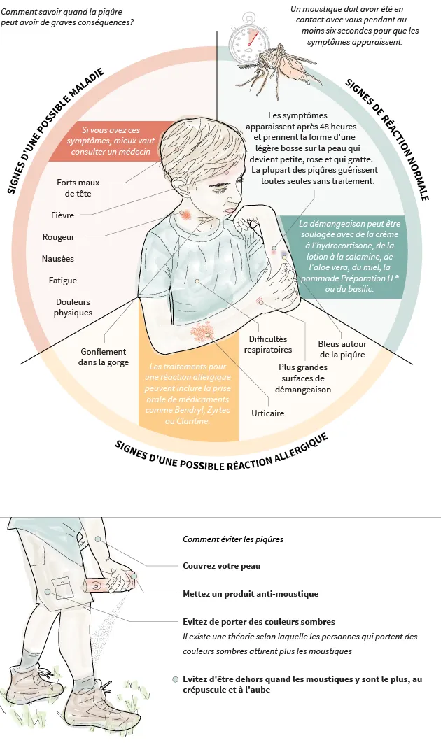 Piqure De Moustique Ce Qu Il Se Passe Dans Notre Corps Et Les Signes D Une Reaction Anormale Le Huffington Post Life