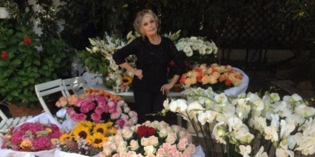 Anniversaire De Brigitte Bardot Ses 80 Ans Fetes Dans L Intimite Le Huffpost