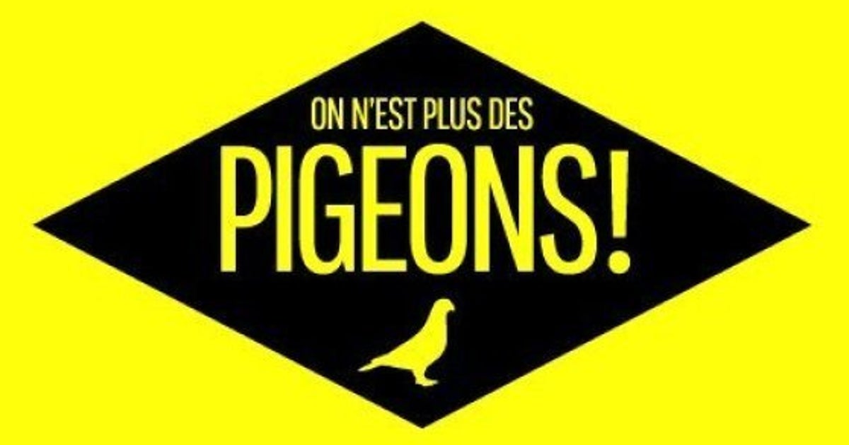 On N Est Plus Des Pigeons L'émission "On n'est plus des pigeons!" sur France 4 s'arrête | Le HuffPost
