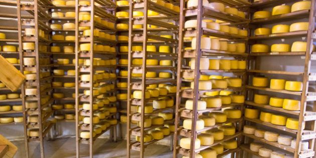 États Unis Des Fromages Comme Le Cheddar Ou Le Comté Dans Le Viseur De Lagence De L 