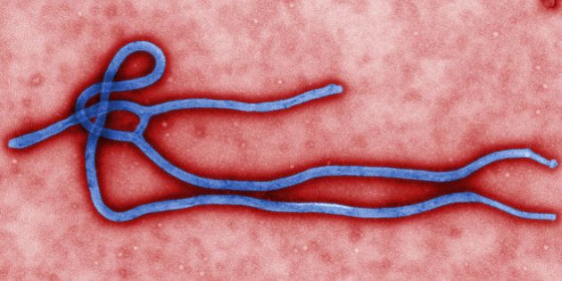 Cas d'Ebola en Europe: une aide-soignante espagnole première contaminée hors