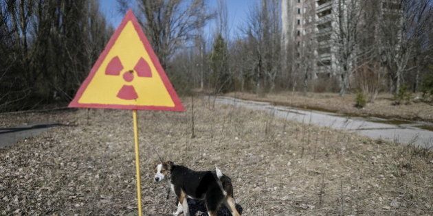 Laccident Nucléaire De Tchernobyl A T Il Vraiment Créé Des