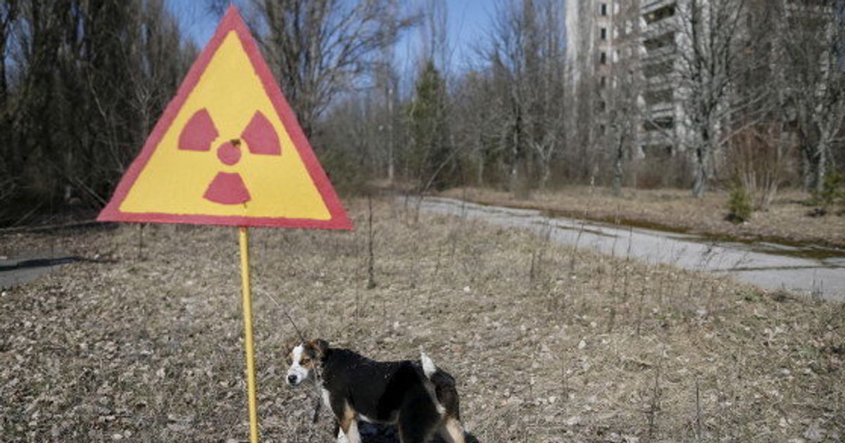 L Accident Nucleaire De Tchernobyl A T Il Vraiment Cree Des Mutants Le Huffpost