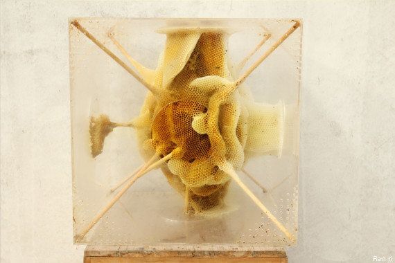 Des sculptures en cire d'abeilles par l'artiste chinois Ren