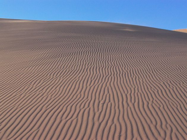 PHOTOS. Pourquoi les dunes et leurs rides ont l'air si parfaites? Des chercheurs français ont réussi...