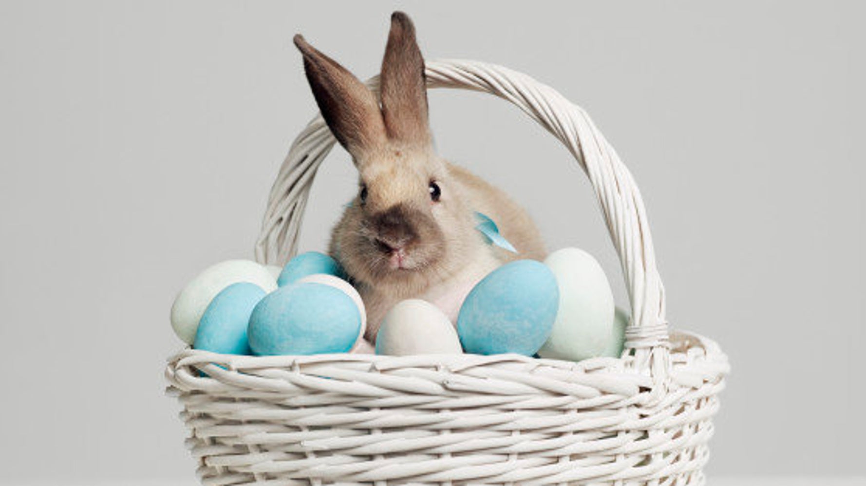 Les Origines De Paques Un œuf Decore Millenaire Et Un Mysterieux Lapin Le Huffington Post Life Les Origines De Paques Un œuf Decore Millenaire Et Un Mysterieux Lapin Le Huffington Post Life