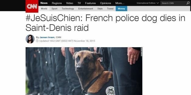 Comment Diesel le chien a �t� c�l�br� � travers la plan�te  Le 