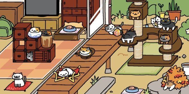Neko Atsume, le jeu mobile à base de chats mignons qui est en train de rendre tout le monde