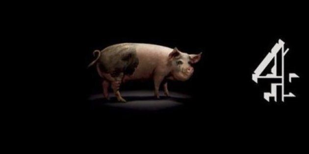 Cameron Et Le Cochon L Affaire A T Elle Inspire Un Episode De La Serie Black Mirror Le Huffpost