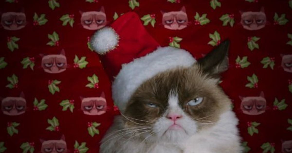 VIDÉO. Le film "Grumpy Cat's Worst Christmas Ever" se dévoile dans une