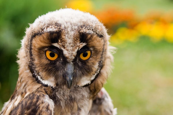 Signification Des Reves C Est Peut Etre Que Vous Avez Un Probleme De Sante Le Huffington Post Life