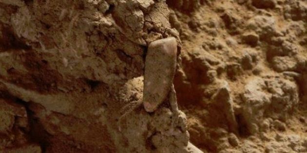 Une dent humaine de 560.000 ans découverte dans les