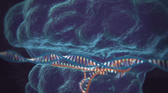 CRISPR-Cas9, une révolution génétique qui promet beaucoup (et pose de nombreuses