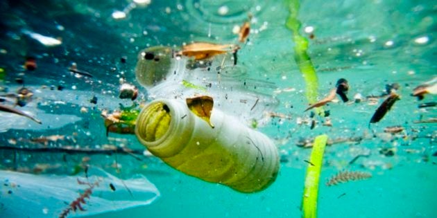 pollution des océans