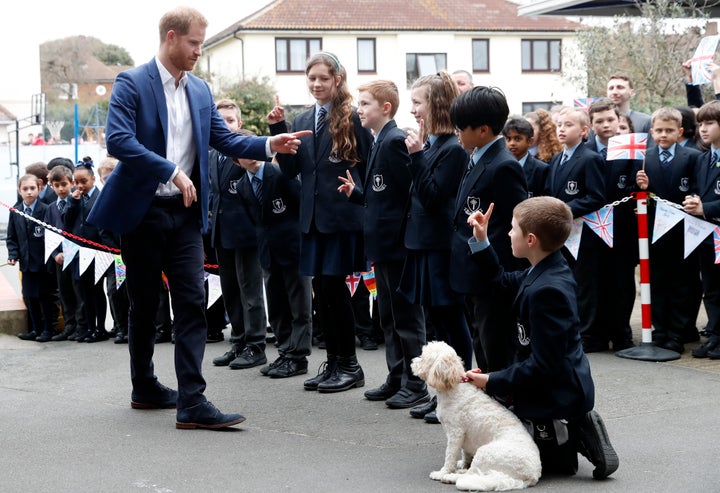 And dogs, as well.