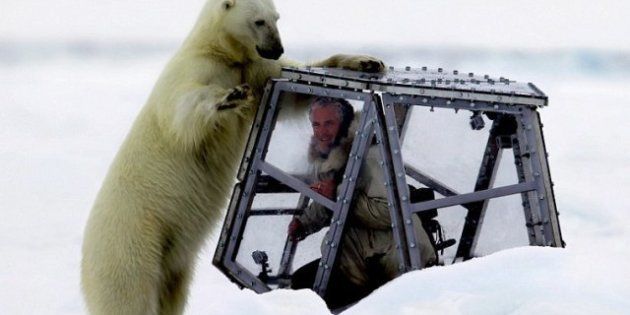 VIDÉO. Un ours polaire attaque un cameraman de la