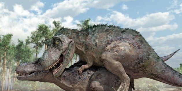 Photos Sexe Comment Faisaient Les Dinosaures Le Huffpost