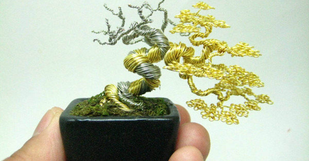 The bonsaï guy Le HuffPost