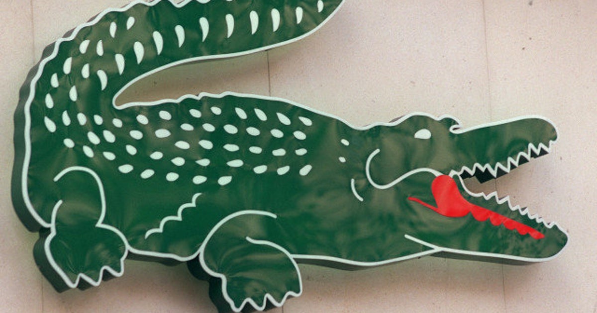 Video Les Polos Lacoste En Voie De Passer Dans Le Giron Du Groupe Suisse Maus Freres Le Huffpost