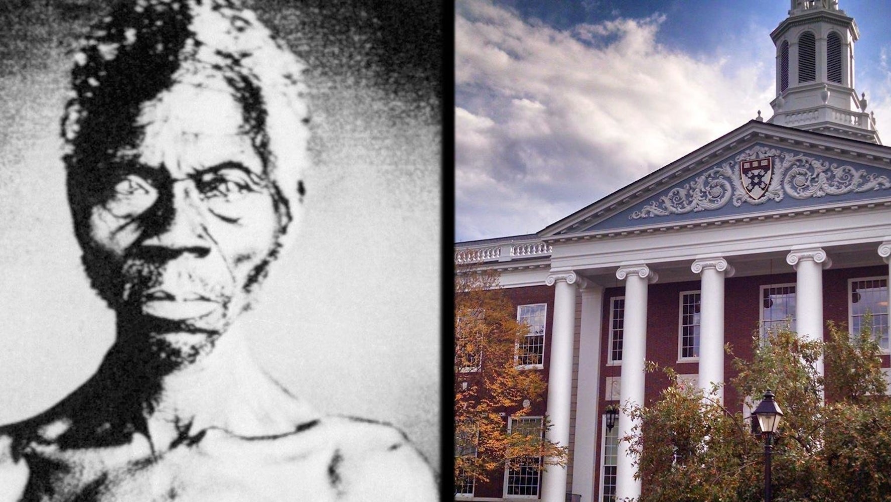 Harvard University Sued For Allegedly Profiting Off Images Of Slaves