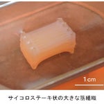 日清が新たな「謎肉」開発。ステーキを頬張った時の噛みごたえ再現
