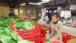 改正入管法とは？“最低賃金以下”や借金漬けは、再び起こり得るのか