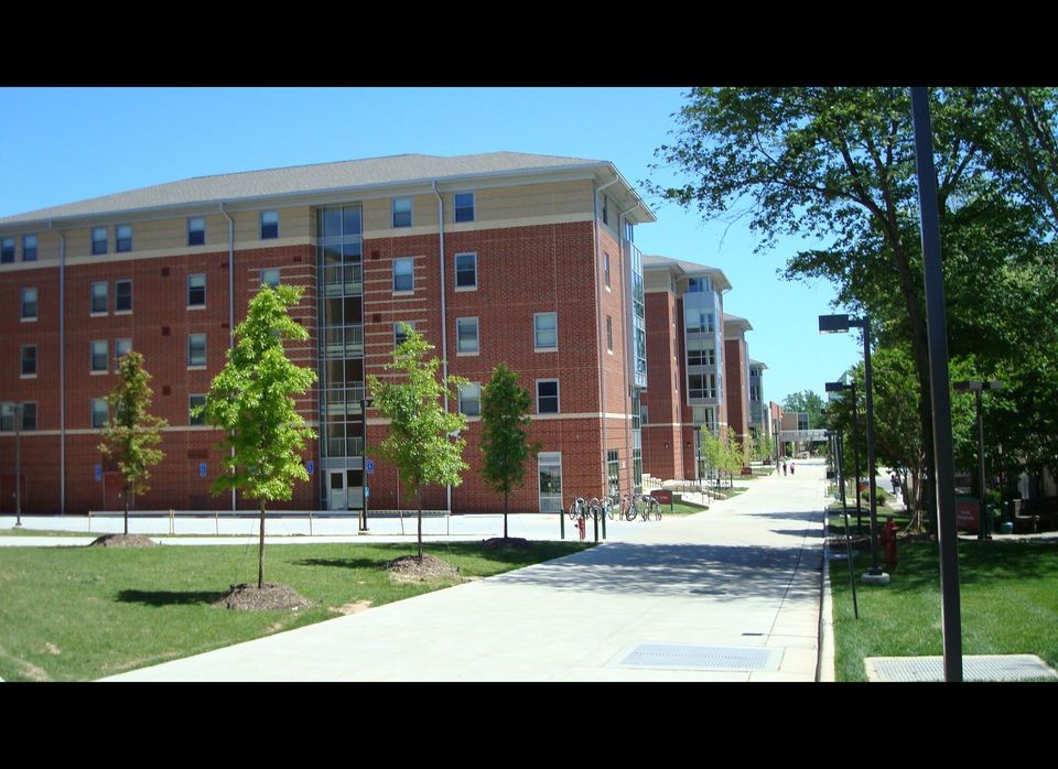 George Mason University (VA)$100