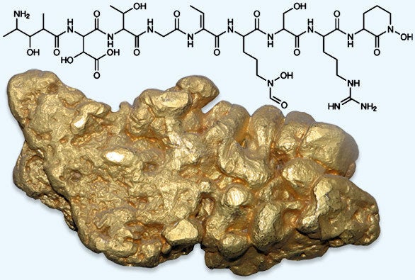 Gold-digging bacterium makes precious particles