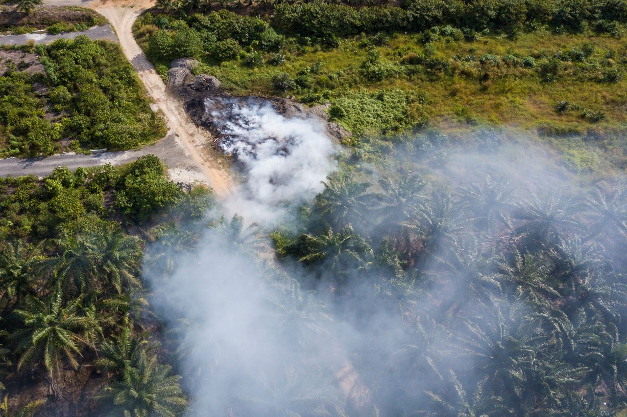 An aerial shot of a fire on a palm oil estate in Kuala Langat.