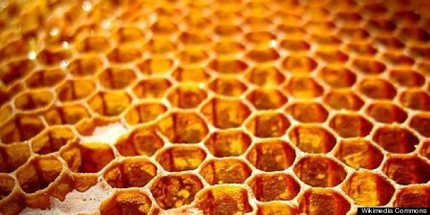 Honeycombs Build Themselves Physics Not Bees May Deserve Credit For Hexagonal Structures Huffpost