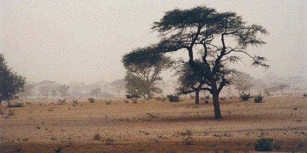 SENEGAL - CIRCA 2003: Sandstorm in Senegal. (Photo by DeAgostini/Getty Images)