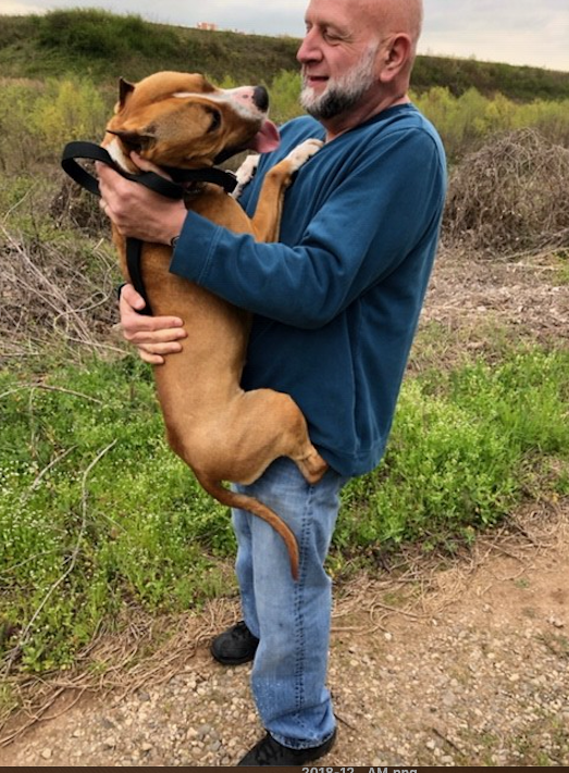 Gale, a prize-winning show dog from the Netherlands, has been reunited with her owner after disappearing at an Atlanta airpor