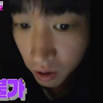 에픽하이 '고양이 자장가'가 고양이에게 먹히는 과학적 이유가