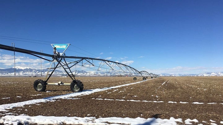 An irrigation pivot circle at Elliott Farms in Rio Grande County, Colorado. Farms and ranches in the valley rely on river and