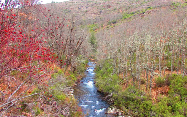 Siete rutas de senderismo para disfrutar cerca de