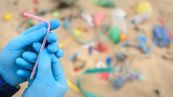 Pailles, touillettes... Les plastiques à usage unique définitivement interdits dans l’UE dès