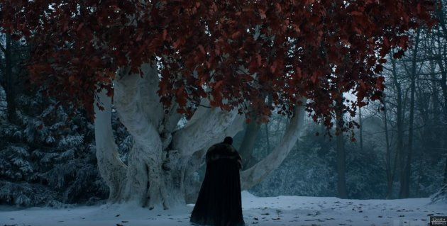 Jon Snow au pied du Barral, ces arbres aux feuilles rouges très répandus au Nord de