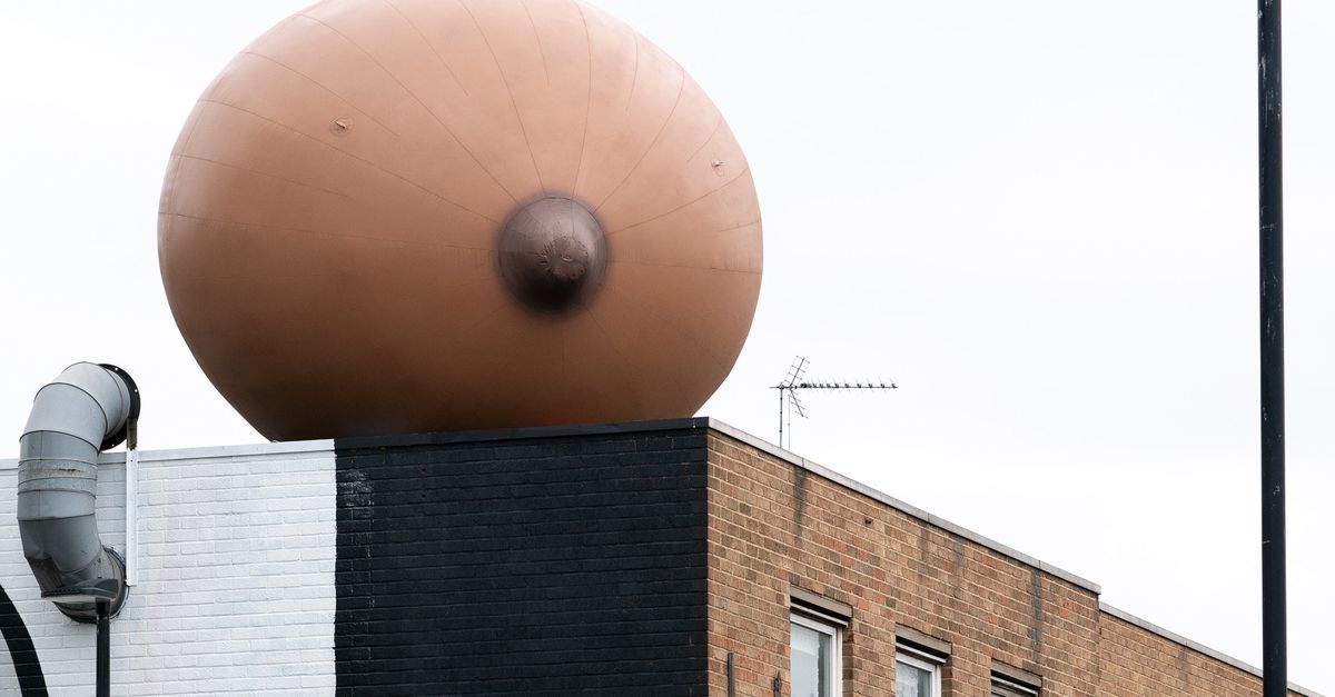 Campaigners inflate enormous BREAST outside Facebook's London HQ